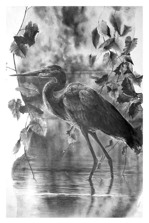 Graphite Heron | Jon Colvin