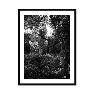 Open image in slideshow, ‘Park Path II’ Framed &amp; Mounted Print
